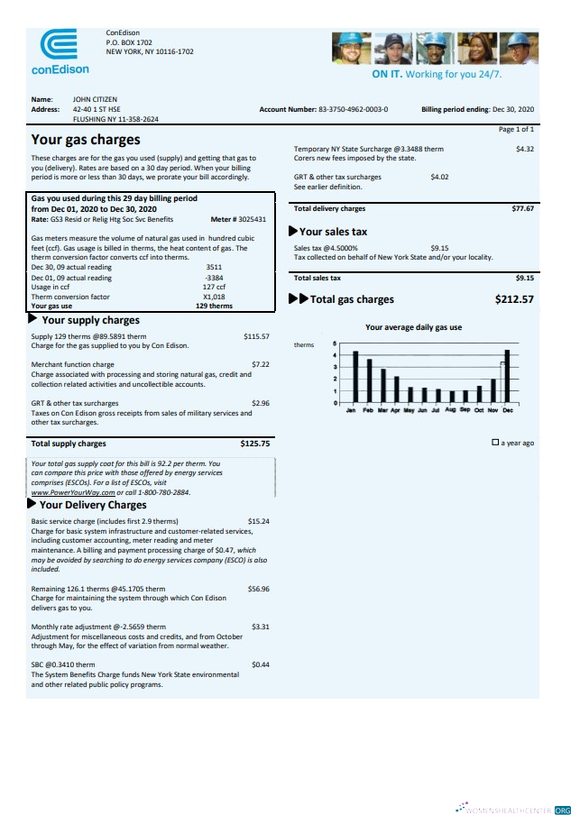 download download USA Con Edison gas utility bill template in Word and PDF format PDF template PDF template